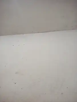 ambarlennoix online show from 3, 12, 2025