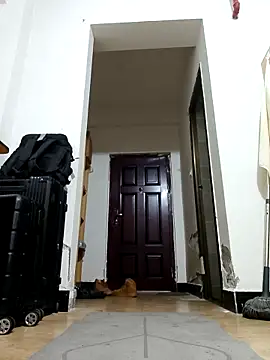 DDYY12341 online show from 18, 11, 2025