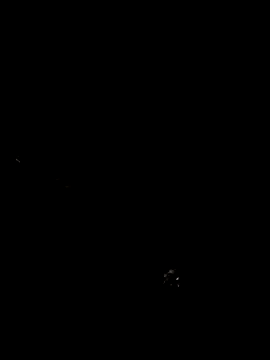 cindy damm online show from 24, 4, 2026