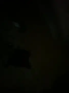 hardbigcock16 online show from 3, 4, 2026