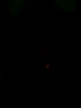 Snapshot of Long_Laster chatting on 12, 2, 2026 Long Laster online show from 12, 2, 2026