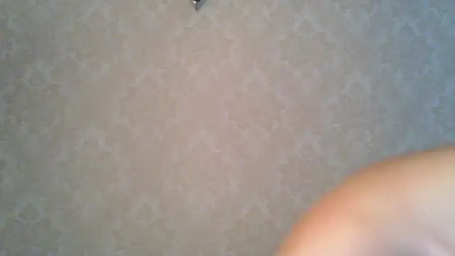 Snapshot of Kashtanka_ chatting on 27, 10, 2025 Kashtanka online show from 27, 10, 2025