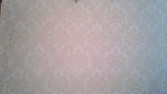 Snapshot of Kashtanka_ chatting on 4, 11, 2025 Kashtanka online show from 4, 11, 2025