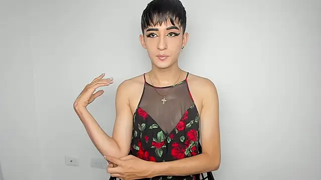 HotStar yes online show from 29, 12, 2024