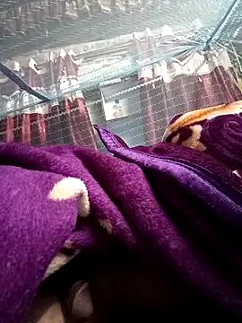 900irani online show from 17, 12, 2024