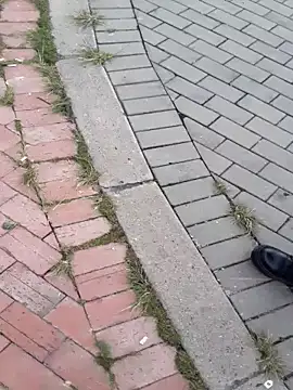 sophie banger online show from 18, 11, 2025