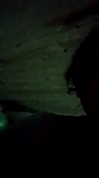 bonnnieandclydee online show from 12, 3, 2025