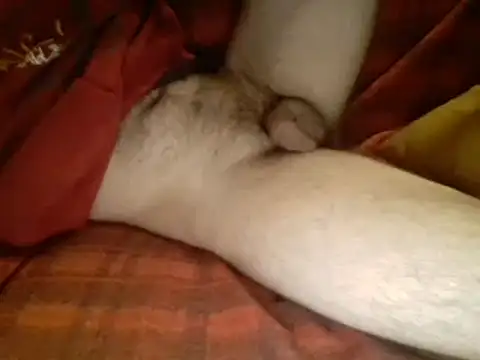 Ariete80s online show from 10, 3, 2025