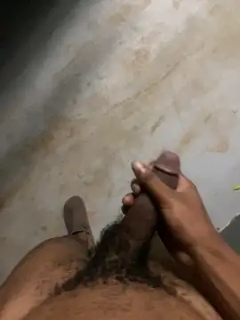 zeekBbc online show from 6, 4, 2026