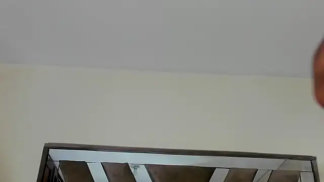 sara williams01 online show from 8, 2, 2025