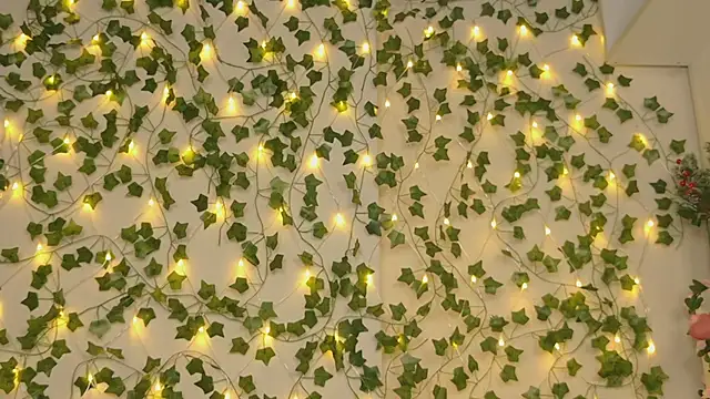 Brenda M00n online show from 5, 1, 2025