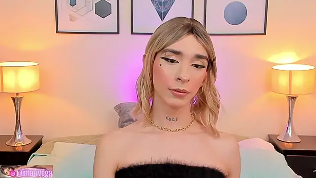 Snapshot of ariivega chatting on 27, 2, 2025 ariivega online show from 27, 2, 2025