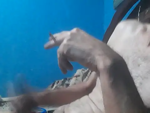 Snapshot of hugosafado333 chatting on 15, 10, 2025 hugosafado333 online show from 15, 10, 2025