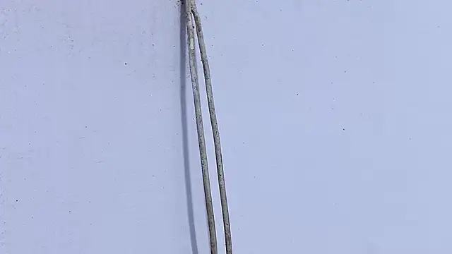 Habibi big b online show from 19, 4, 2026