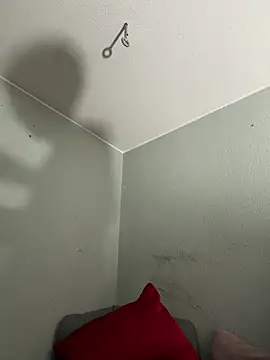 pillepallex84x online show from 13, 3, 2026