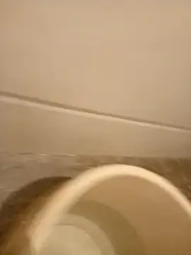 gym lover076 online show from 23, 1, 2025