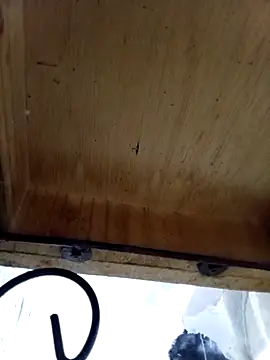 Snapshot of DaniSexFlow chatting on 13, 10, 2025 DaniSexFlow online show from 13, 10, 2025