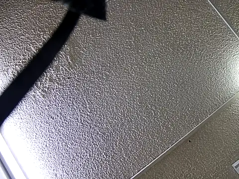 yajahil online show from 28, 11, 2025