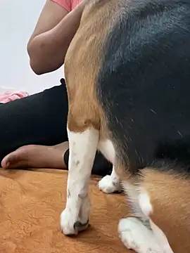 Snapshot of sissarahotty chatting on 2, 2, 2025 sissarahotty online show from 2, 2, 2025