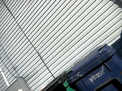 Chico Bellaco online show from 6, 10, 2025