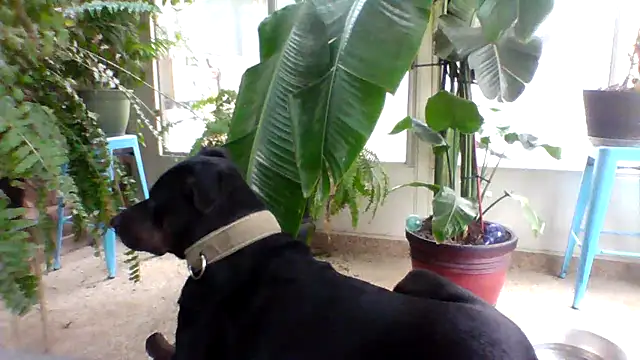 Big-Tits-McGee online show from 18, 12, 2025