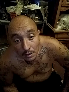 Snapshot of wilsons12 chatting on 8, 11, 2025 wilsons12 online show from 8, 11, 2025