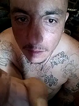 wilsons12 online show from 13, 2, 2026