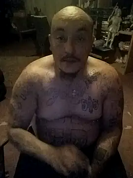 wilsons12 online show from 20, 4, 2026