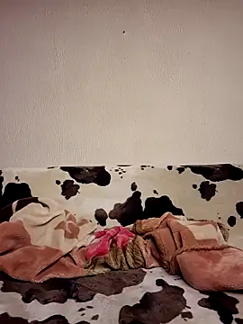 Zgodanilep online show from 31, 3, 2026