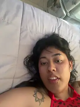 pawmistry online show from 4, 4, 2026