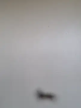 BriannaVincent online show from 7, 1, 2026