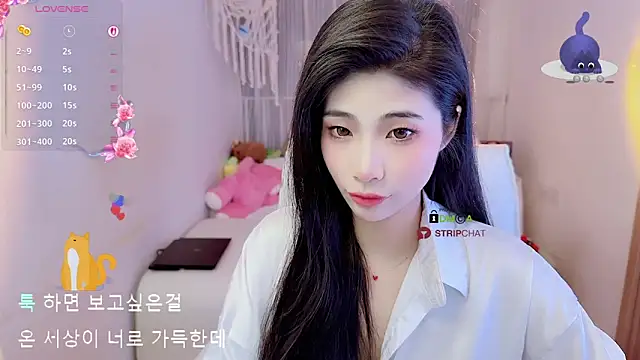 Vaidurya-Yolo online show from 10, 11, 2025