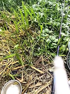 huzi518 online show from 27, 9, 2025