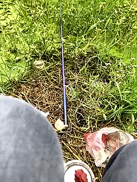 huzi518 online show from 8, 11, 2025