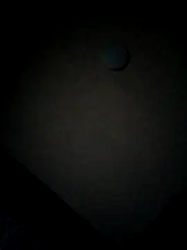 Snapshot of minitranca chatting on 12, 2, 2026 minitranca online show from 12, 2, 2026