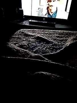 Snapshot of minitranca chatting on 21, 2, 2026 minitranca online show from 21, 2, 2026