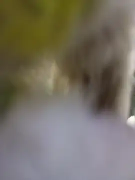 strip 1212 online show from 6, 1, 2026