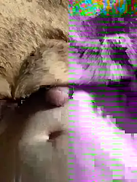 sansato133 online show from 19, 1, 2025