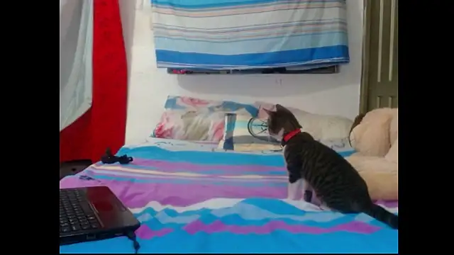 perverted couple - online show from 23, 12, 2024