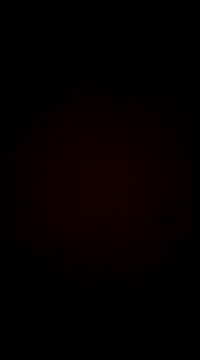 Snapshot of vuduwudu33 chatting on 19, 12, 2024 vuduwudu33 online show from 19, 12, 2024