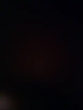 Dddoggystacks online show from 15, 11, 2025