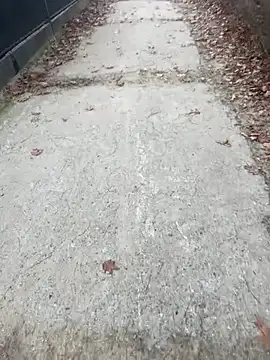 Snapshot of Tomkitomkii chatting on 6, 11, 2025 Tomkitomkii online show from 6, 11, 2025