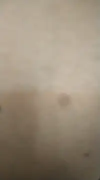 Snapshot of rohitlov150 chatting on 13, 2, 2025 rohitlov150 online show from 13, 2, 2025