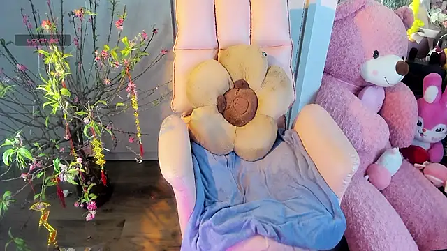  Dau  online show from 10, 2, 2025