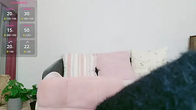 cohaku 329 online show from 18, 1, 2026