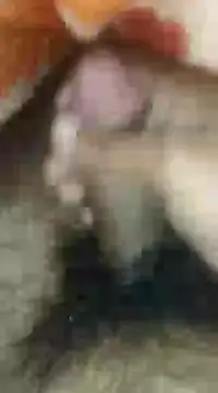 cjonybab online show from 13, 12, 2024