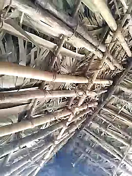 Snapshot of Mrveda66 chatting on 9, 2, 2026 Mrveda66 online show from 9, 2, 2026