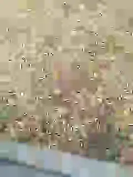 Snapshot of Mrveda66 chatting on 10, 2, 2026 Mrveda66 online show from 10, 2, 2026