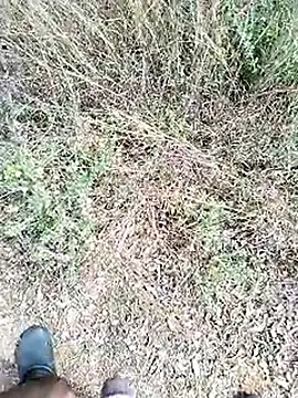 Snapshot of Mrveda66 chatting on 23, 2, 2026 Mrveda66 online show from 23, 2, 2026