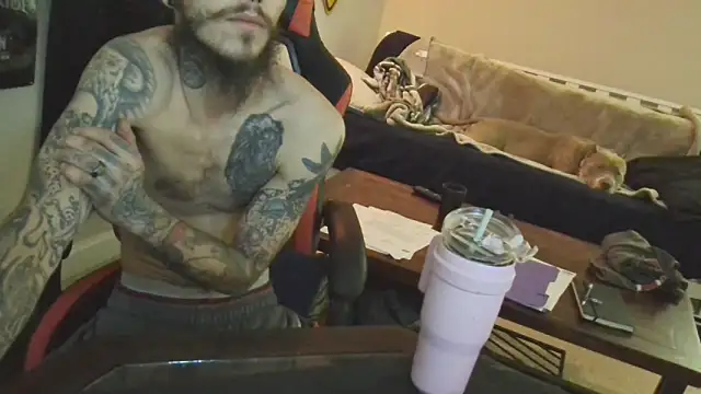 XMeF10 online show from 26, 2, 2025